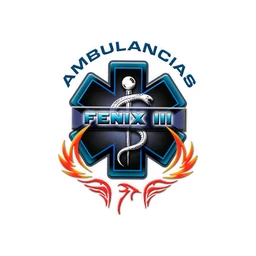 Ambulancias Fenix III